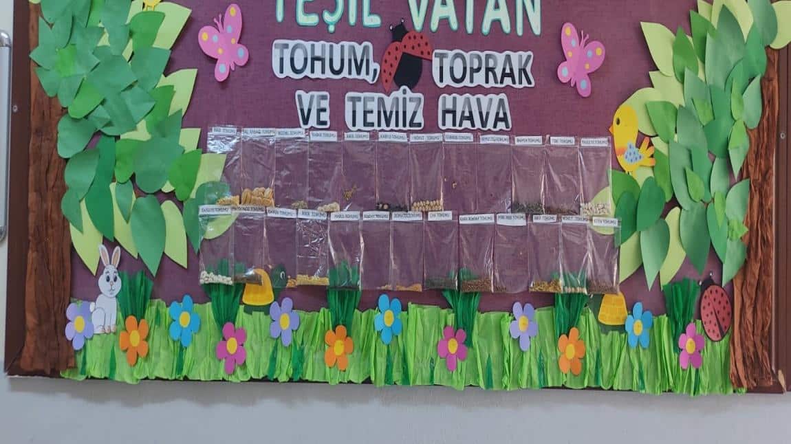 Tohum Bankamiz